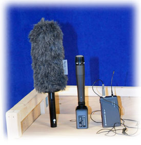 mics for rent